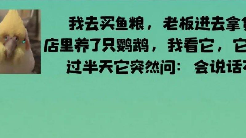办公室零食批发与零售：本质区别与选购要点